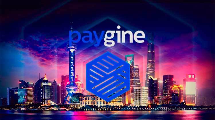 Paygine review completa