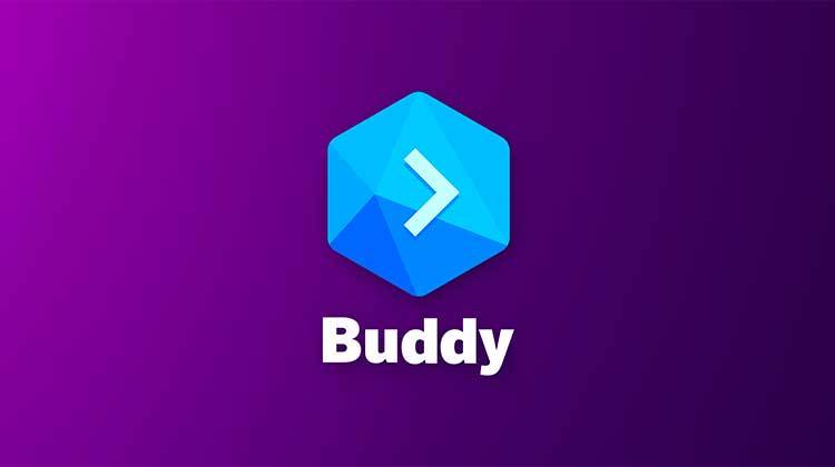 Review completa de ICO Buddy